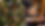 G.png