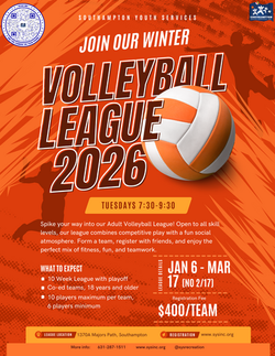Volleyball League 2026