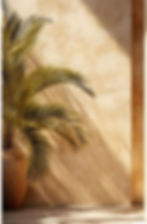 Signature Sundara.jpeg