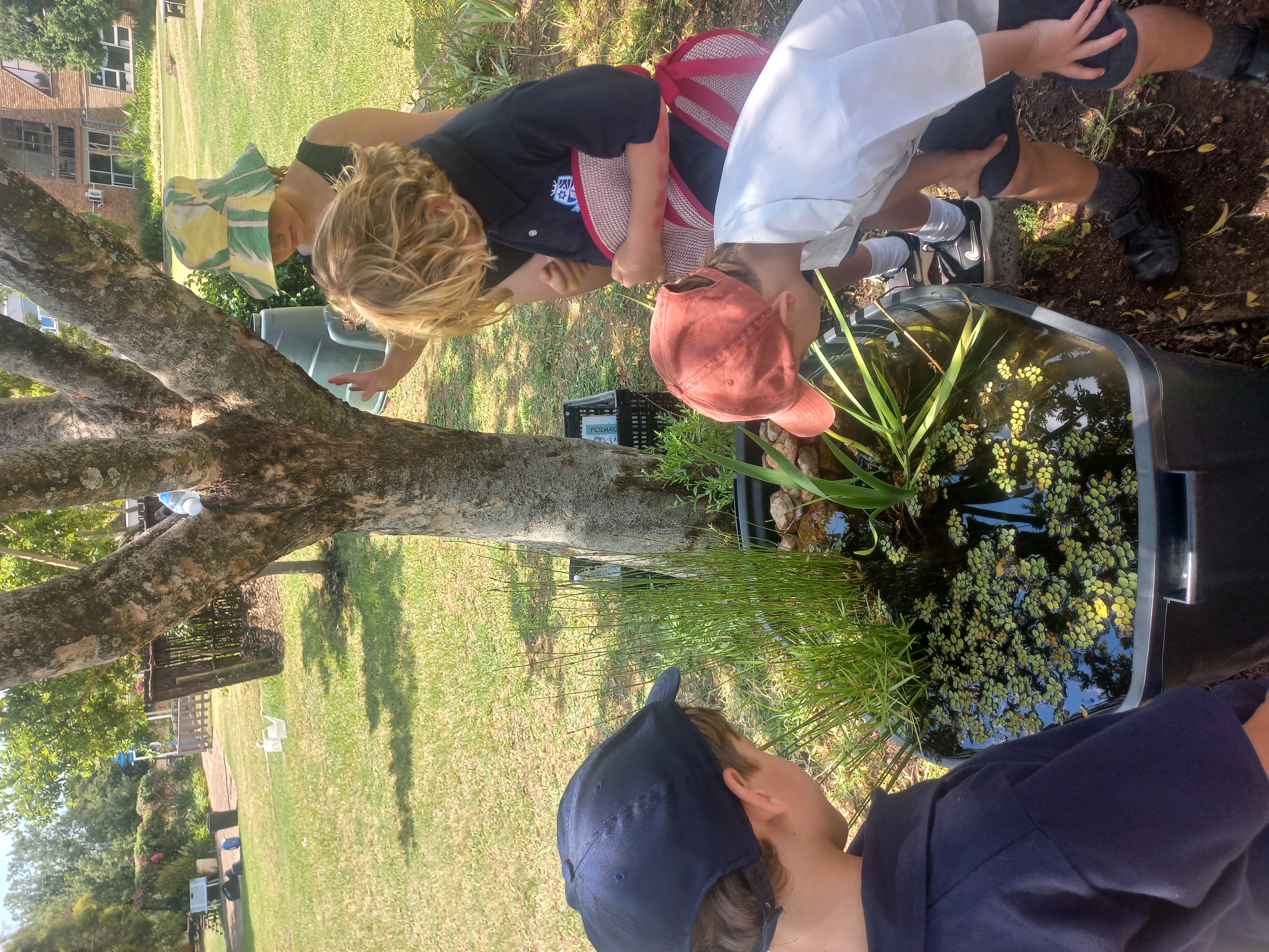 At-school garden club