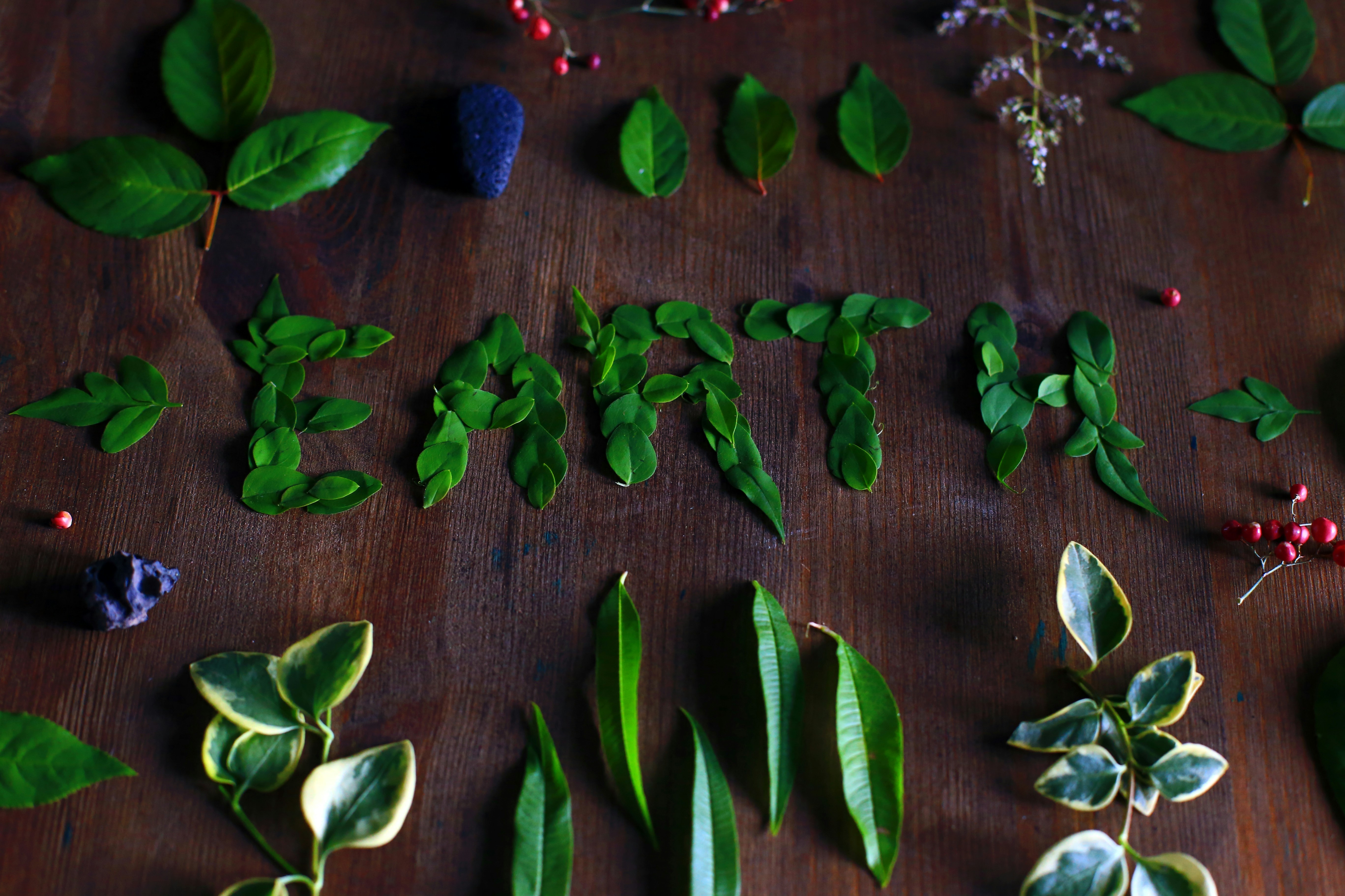 Eco-friendly party favours