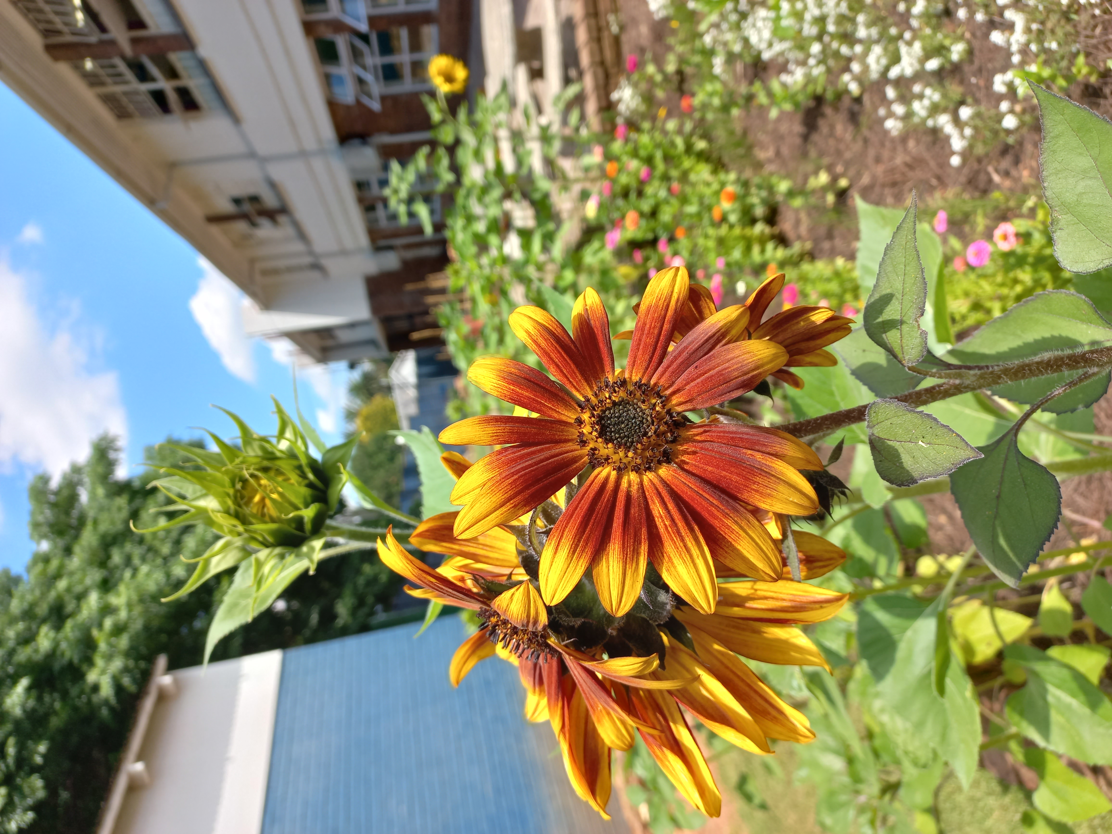 Garden club session