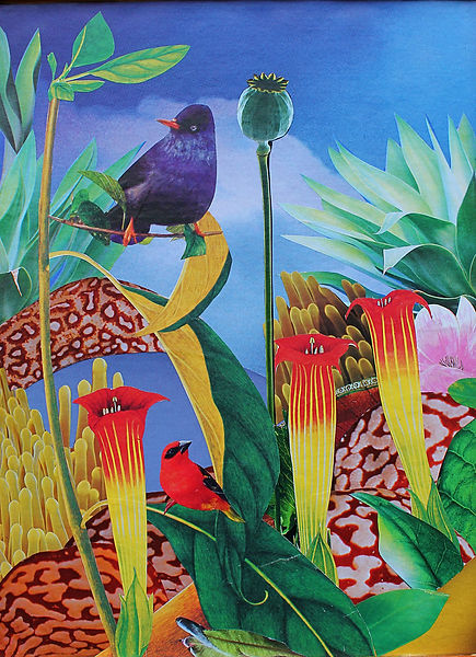 OISEAU BLEU