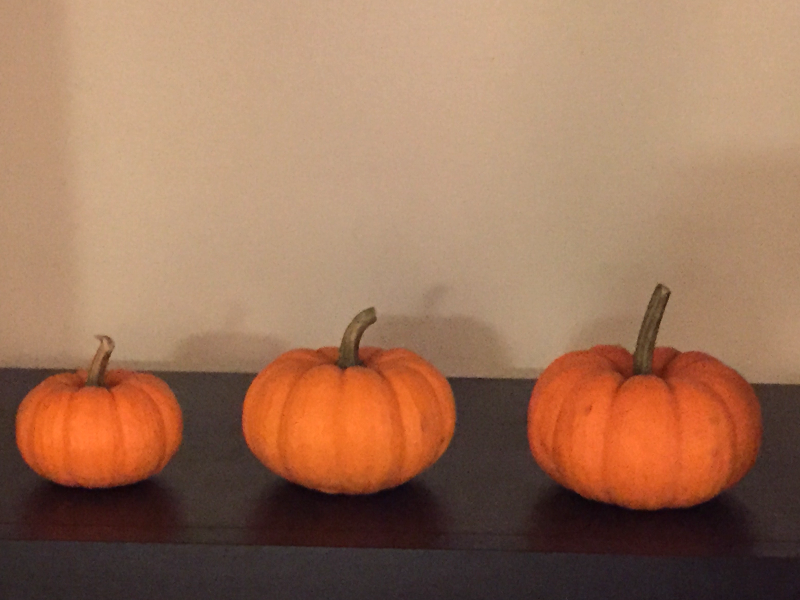 3 mini pumpkins arranged from small to big from left to right