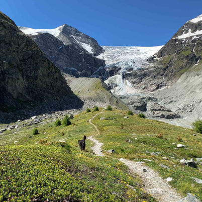 Turtmannhütte