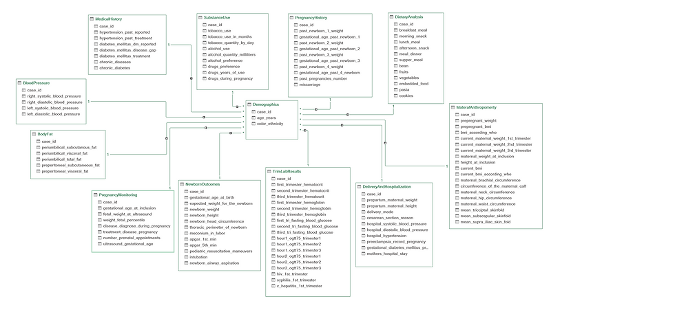 Normalized Tables Connected to Form a Star Schema Model
