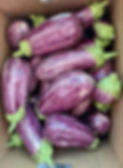 eubanks produce eggplant mississippi IMG_0011.JPG
