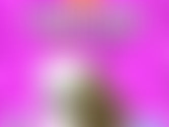 Tahoe Jack (Sunnyside)