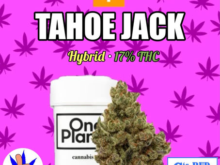 Tahoe Jack (Sunnyside)