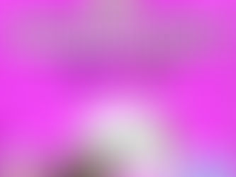 Mandarin Sunset (Growhealthy)