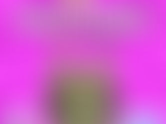 Gorilla Cookies (Liberty Health Sciences)