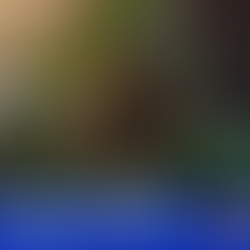 Highdeas: Crypto Weed is Here and Lame As Ever