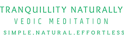 EmarldGreenFrontalFullLogo_NoBuffer-5.png