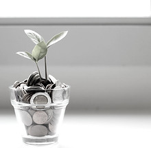 green plant in clear glass cup_edited.jp