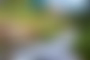 Care for Colorado: Embrace the Leave No Trace Ethic