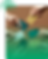 Group 4602 (3).png