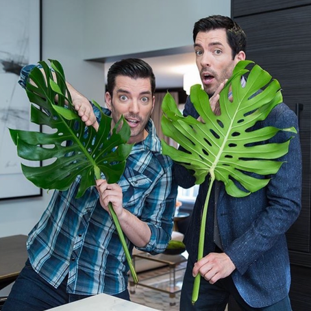 How We Helped Bring the Property Brothers' Vision to Life
