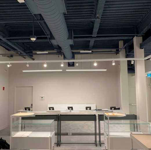 Commercial-Painting-Marchesseau-Custom-Finishes-Painting 2.png