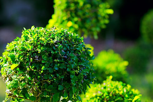 Depositphotos_11731202_xl-2015.jpg