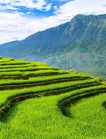 Pažintinė Kelionė į Vietnamą