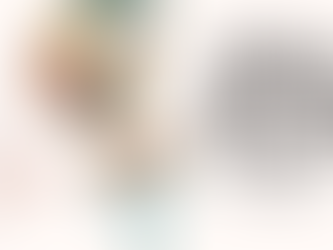 Worth a Thousand Words (And the Alt Text to Match) Spring 26 Lunch & Learn Series Alexa Temparali