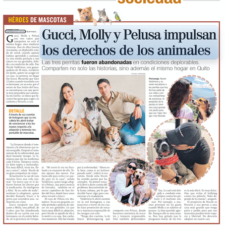 Nota en Diario Expreso: Gucci, Molly y Pelusa impulsan los derechos de los animales.