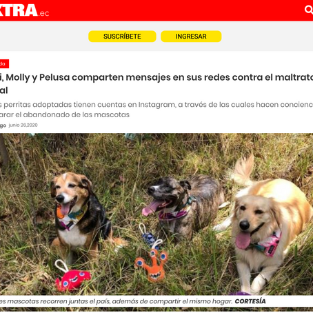 Nota en Diario Extra: Gucci, Molly y Pelusa comparten mensajes en sus redes.