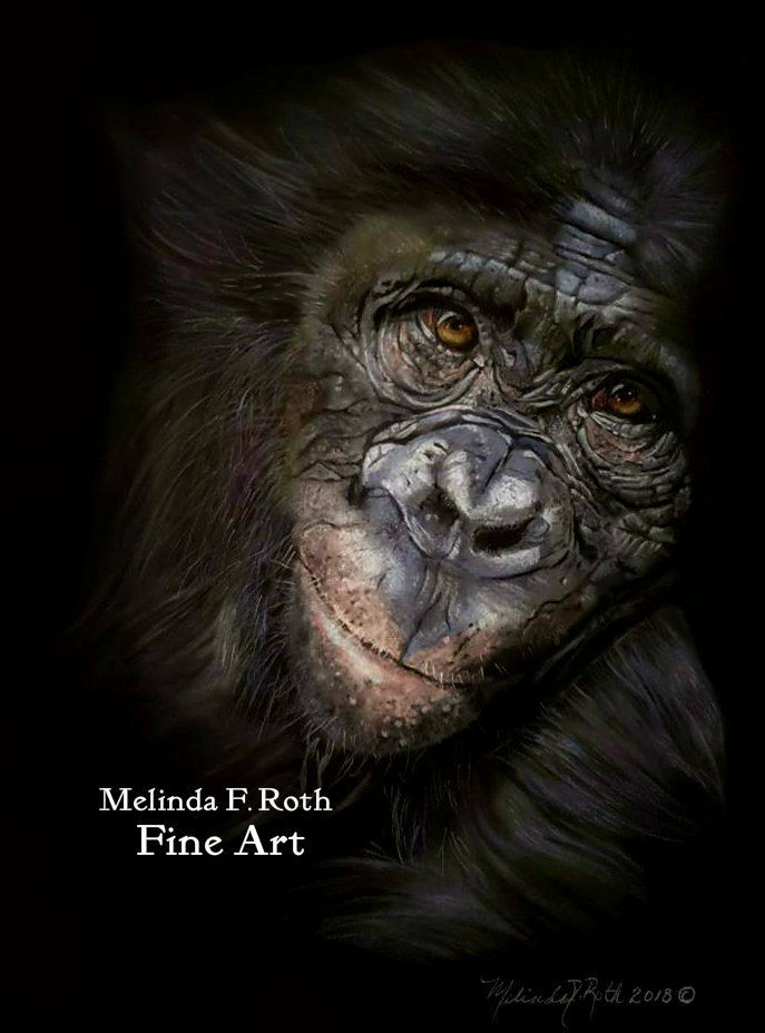 Chimpanzee Primate Pastel Art Print