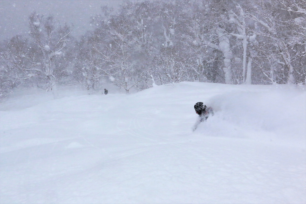 Furano powder skiing