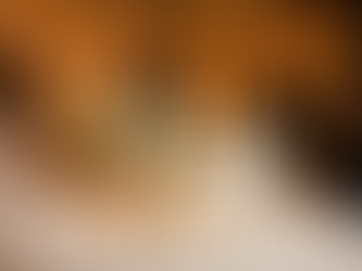 Audio Guestbook Phone