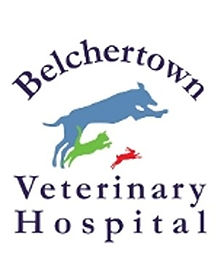 belchertown logo.v1.jpg