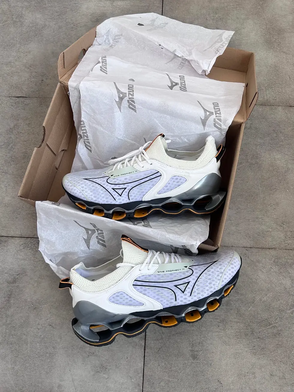 Miniatura: PROPHECY 14