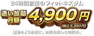 月会費4,900円(税込5,390円)で通い放題