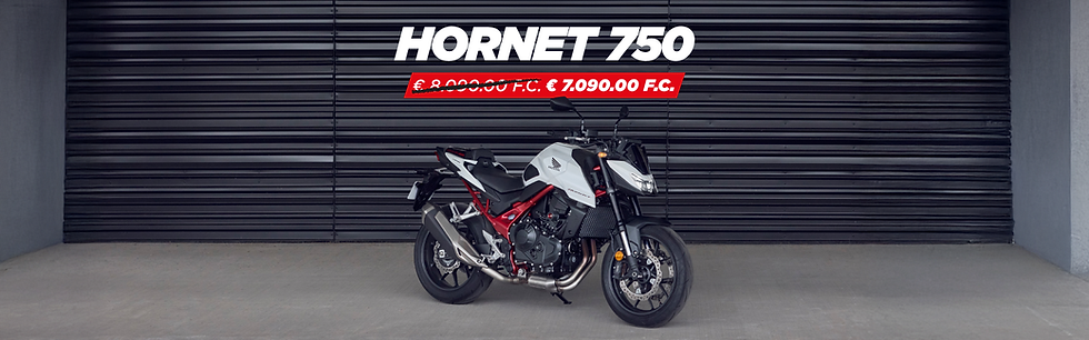 BANNER PROMO HORNET BIANCA.png