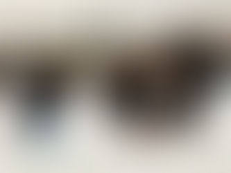 倶知安スノーフラッグス 3連覇