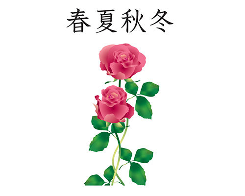 asagumo-digital-2.png