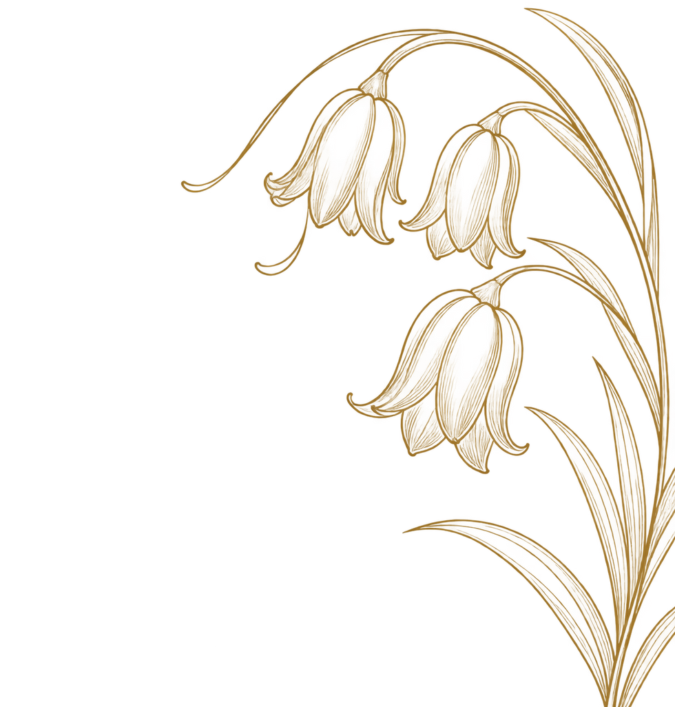 F8BB1FD1-2528-415F-8B3E-3AFD944DE5DF.png