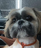 Charley