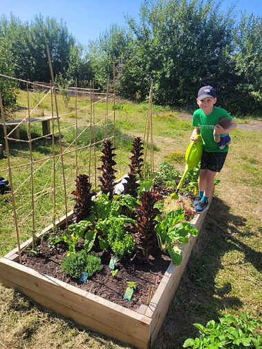 Bentinck-Street-Community-Garden-now-3-768x1024.jpg
