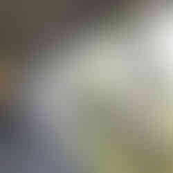 UnelmaHelmi lasitettu terassi