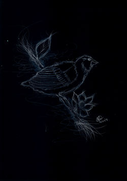 n e g bird