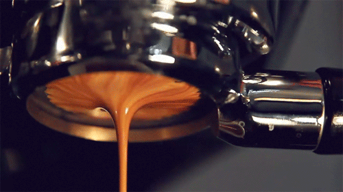 Creamy Coffee Coffee Vault Cy