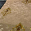 Thumbnail: Plain Flower Brown Shining Wallpaper 