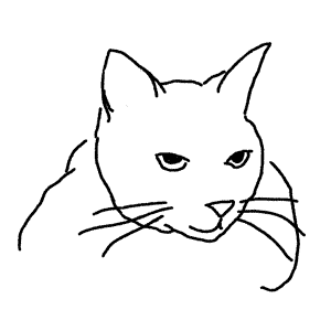 x.gif