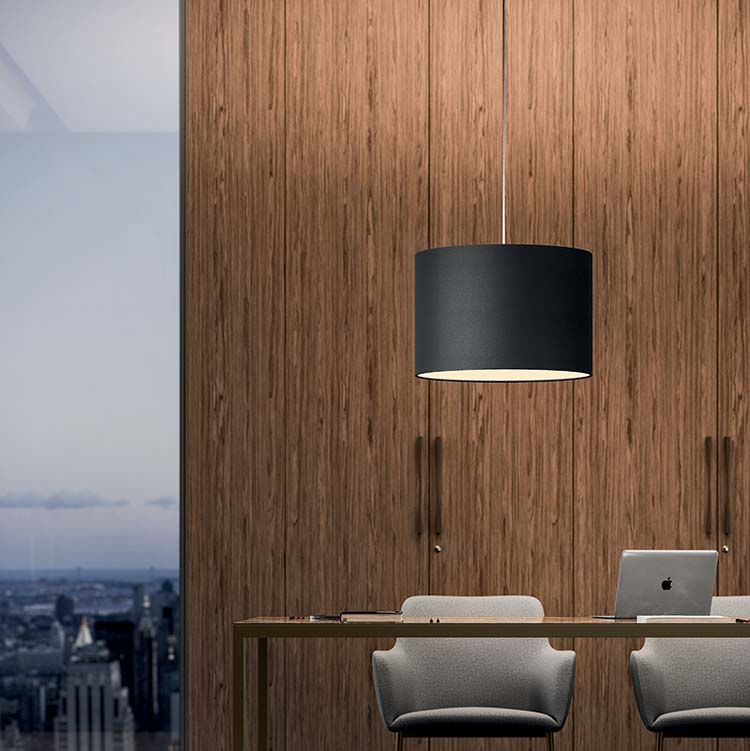 Half Moon Pendant Light