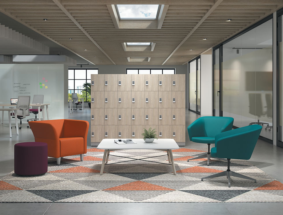 Miniatura: Contain Lockers Storage
