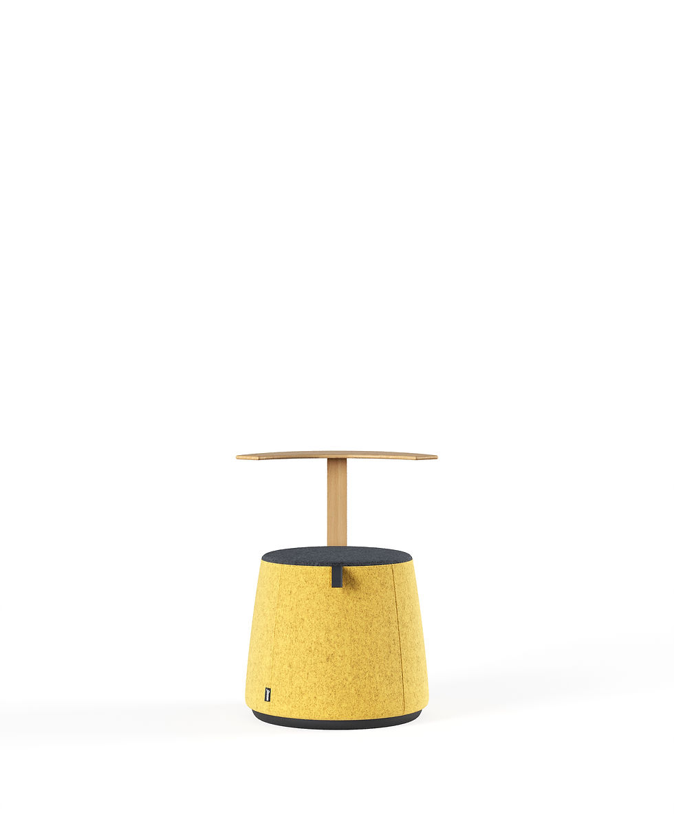 Miniatura: C1.8 Pouf