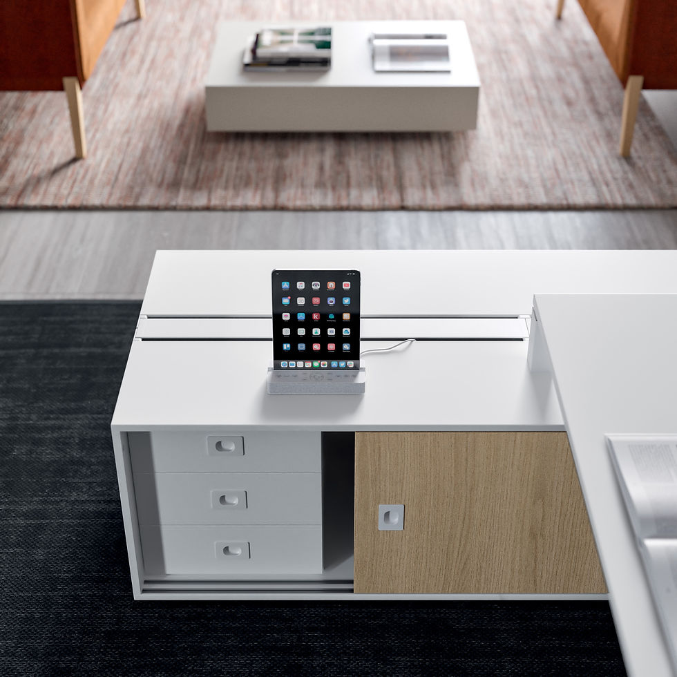 Miniatura: X4 Workstation