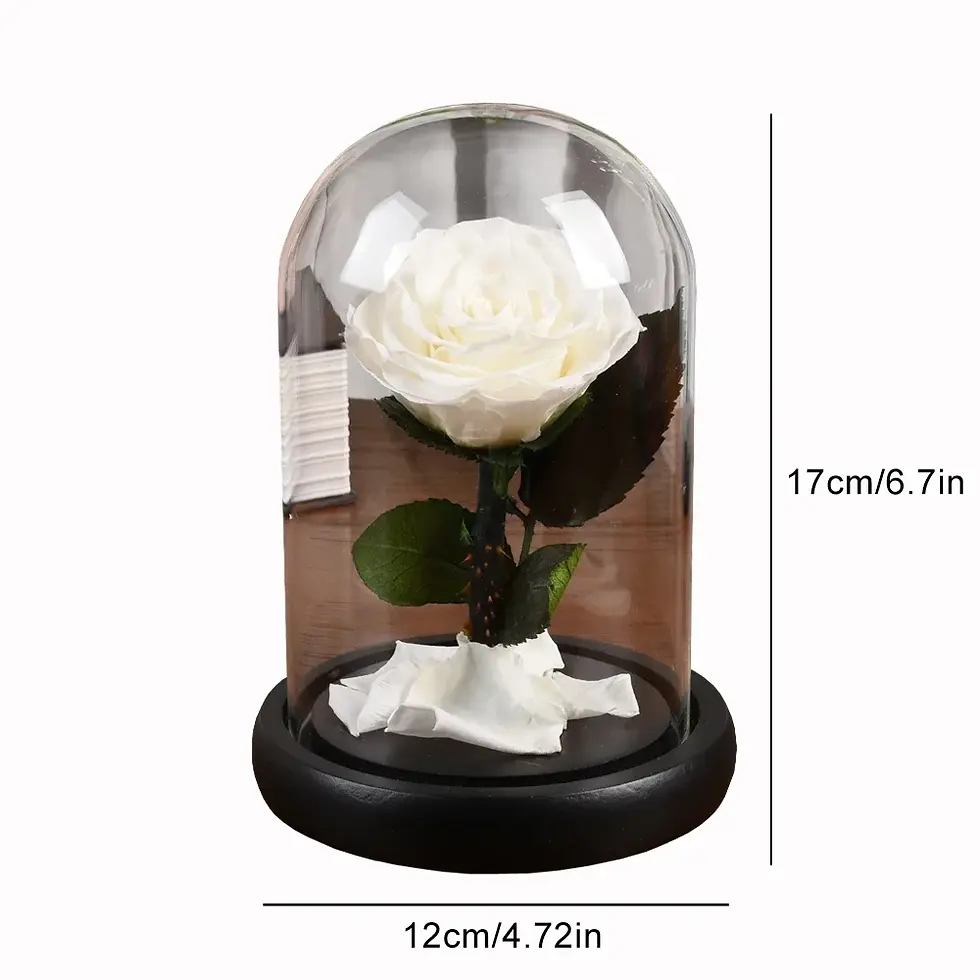 Thumbnail: 17 cm Preserved Real Roses in Glass Dome