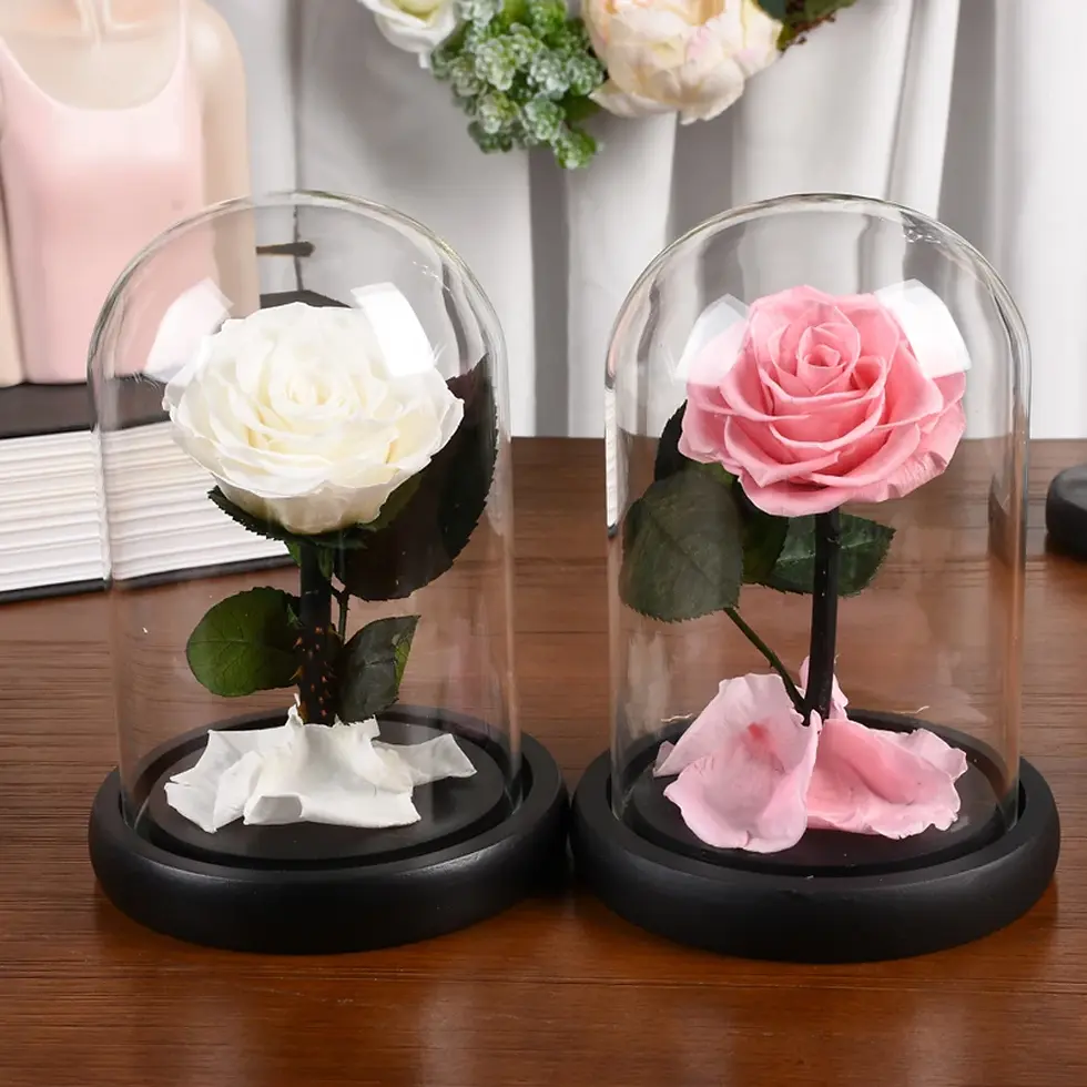 Thumbnail: 17 cm Preserved Real Roses in Glass Dome